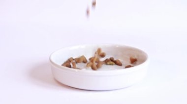 Kuru kedi maması. Beyaz arka plandaki beyaz bir kaseye kuru kedi maması dök. Besleyici hayvan maması.