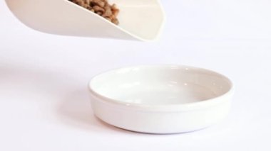 Kediler için kuru yiyecek. Beyaz bir kaseye kuru kedi maması dök. Plastik kaşıktan yemek dök. Beyaz arka planda besleyici evcil hayvan yiyeceği