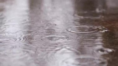 Kaldırımda yağmur ve su birikintileri. Sonbahar ya da bahar yağmuru. Dışarıda yağmur, zemin kattan görüntüler. Islak asfalt