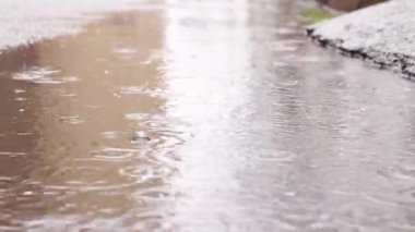 Kaldırımda yağmur ve su birikintileri. Sonbahar ya da bahar yağmuru. Dışarıda yağmur, zemin kattan görüntüler. Islak asfalt