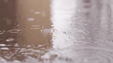 Kaldırımda yağmur ve su birikintileri. Sonbahar ya da bahar yağmuru. Dışarıda yağmur, zemin kattan görüntüler. Islak asfalt