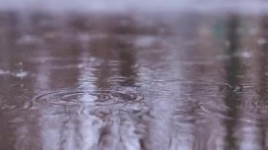 Kaldırımda yağmur ve su birikintileri. Sonbahar ya da bahar yağmuru. Dışarıda yağmur, zemin kattan görüntüler. Islak asfalt