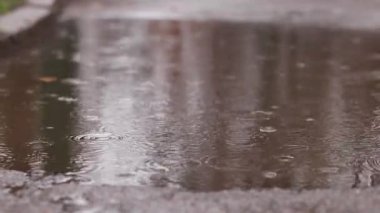 Kaldırımda yağmur ve su birikintileri. Sonbahar ya da bahar yağmuru. Dışarıda yağmur, zemin kattan görüntüler. Islak asfalt