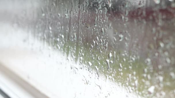 Regndroppar Fönsterglaset Selektivt Fokus Höst Eller Vårregn Dåligt Väder Vått — Stockvideo
