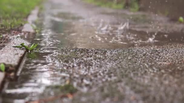 Chuva Poças Pavimento Outono Primavera Chuva Fora Chuva Fora Vídeo — Vídeo de Stock