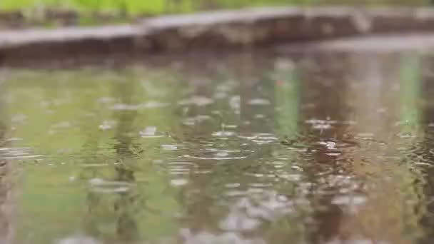 歩道上の雨や水たまり 秋や春の雨の外 外で雨 地上からのビデオ 湿式アスファルト — ストック動画