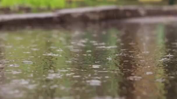 Дождь Лужи Тротуаре Осень Весенний Дождь Снаружи Дождь Снаружи Видео — стоковое видео