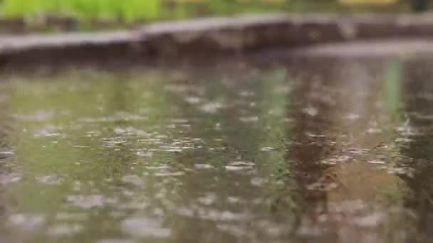 Chuva Poças Pavimento Outono Primavera Chuva Fora Chuva Fora Vídeo — Vídeo de Stock