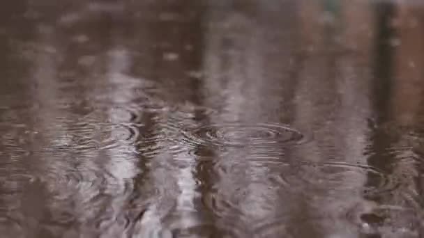 Regn Och Pölar Trottoaren Höst Eller Vårregn Utanför Regn Utanför — Stockvideo