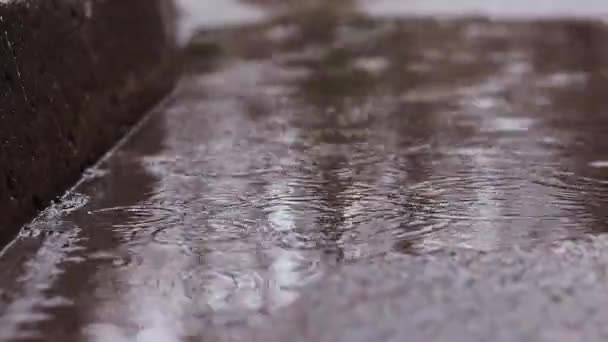 Deszcz Kałuże Chodniku Przy Krawężniku Jesienny Lub Wiosenny Deszcz Zewnątrz — Wideo stockowe