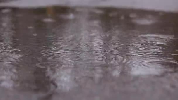 Deszcz Kałuże Chodniku Jesienny Lub Wiosenny Deszcz Zewnątrz Deszcz Zewnątrz — Wideo stockowe