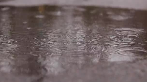 Regn Och Pölar Trottoaren Höst Eller Vårregn Utanför Regn Utanför — Stockvideo