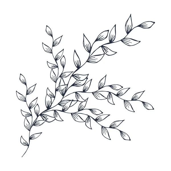 植物の枝の描画 ベクトル図 様式化された植物の枝 装飾の孤立したイメージ — ストックベクタ