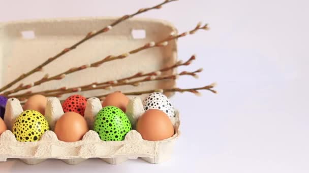 Karton Bir Kutuda Söğüt Dalları Olan Renkli Paskalya Yumurtaları Boyalı — Stok video