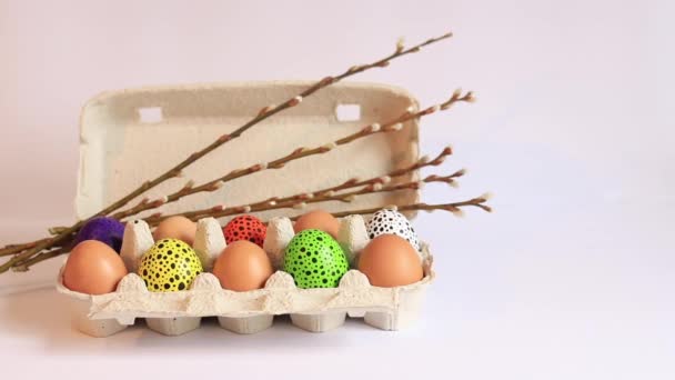 Красочные Пасхальные Яйца Картонной Коробке Ивовыми Ветвями Раскрашенные Пасхальные Яйца — стоковое видео