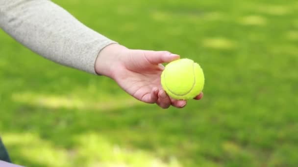 Egy Zöld Labda Egy Fényes Ütő Teniszezéshez Friss Levegőn Hobbi — Stock videók