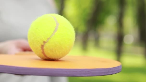 Tenez Balle Surface Une Raquette Tennis Bois Loisirs Loisirs Par — Video