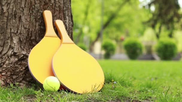 草の上の木の近くに木製のラケットと緑のボール アウトドアスポーツのアイテム ゲームのための木製のテニスラケット 天気の良い日に趣味やレクリエーション — ストック動画