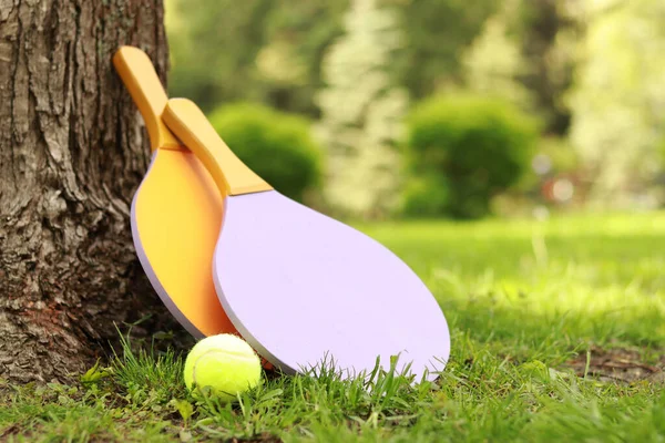 stock image Wooden rackets and a green ball near a tree on the grass. Items for outdoor sports. Wooden tennis rackets for game, park