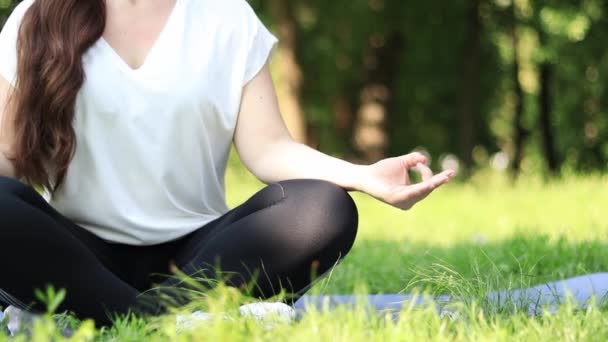 Meditáció Szabadban Tavasszal Vagy Nyáron Sport Vagy Rekreáció Egy Lány — Stock videók