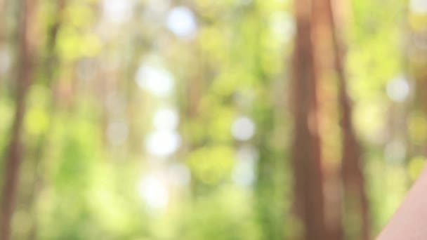Fitness Przyrodzie Hantlami Ręcznymi Dziewczyna Hantlami Świeżym Powietrzu Lesie Podczas — Wideo stockowe