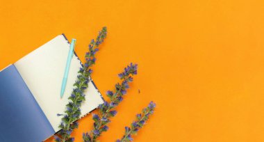 Notlar için açık günlük, kalem ve mavi çiçekler, üst manzara. Düz plan. Uzayı kopyala Turuncu arkaplandaki notlar için defteri aç