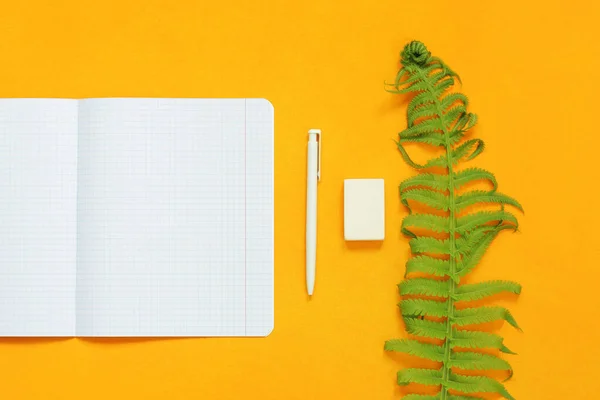 An open notebook with clean white sheets, a fern leaf, a white pen and an eraser on a bright yellow background. Top view, flat lay. Copy space