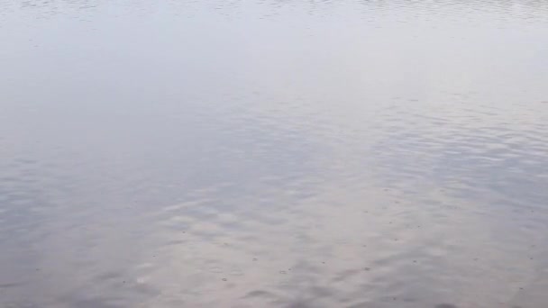 川の雨 自然雨の背景 水の背景をリラックス 雨の日に川の眺め 曇った日には川の水面に雨が降る — ストック動画
