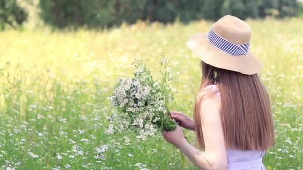 Lapangan Bunga Aster Seorang Wanita Dalam Gaun Mengumpulkan Karangan Bunga — Stok Video