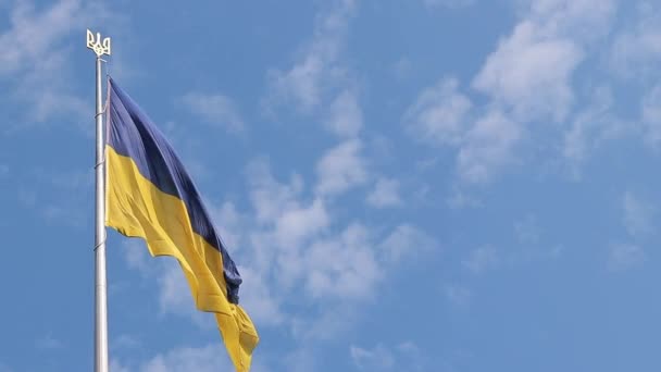 Vlajka Erb Ukrajiny Stožáru Proti Zatažené Obloze Ukrajinská Vlajka Rozvíjí — Stock video