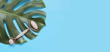 İki gül kuvars başlı yüz masajı silindiri. Yüz masajı, kendine bakım konsepti. Canavar yaprağında masaj masörü, mavi arka plan, üst manzara. Düz yatıyordu