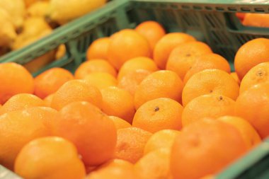 Süpermarkette portakal satışı. Plastik kutularda citrus meyveleri, seçici odaklı yakın çekim. Portakallar mağazanın yan görünümünde. Olgun, sulu, parlak portakal meyvesi. C vitamini ile zenginleştirilmiş meyve..