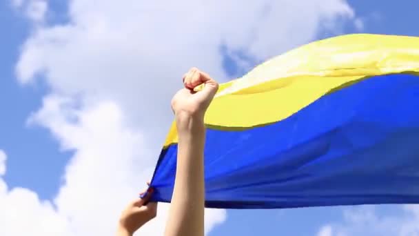 空に対するウクライナの旗を持つ女性の手 ウクライナの国旗が風になびいている ウクライナ独立記念日 黄青旗 — ストック動画