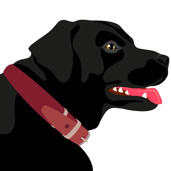 Vektor Illusztráció Egy Fekete Labrador Retriever Fejéről Oldalnézetből Kutya Szájkosarát — Stock Vector