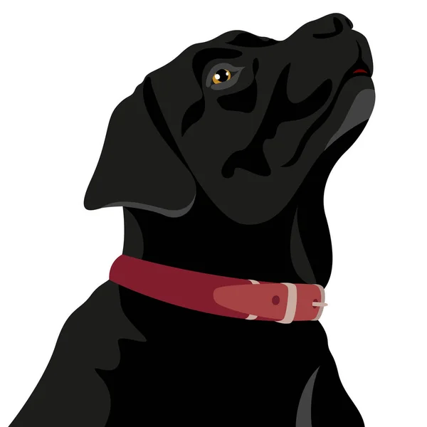 Vektor Illusztráció Egy Fekete Labrador Retriever Fejéről Oldalnézetből Kutya Szájkosarát — Stock Vector