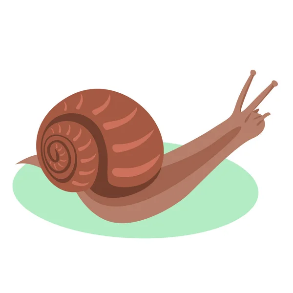 Cute Cartoon Character Snail Shell Cartoon Illustration Small Animal — Stock Vector