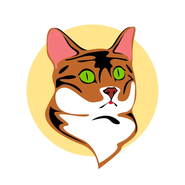 Кошачья Морда Зелеными Глазами Иллюстрация Животные Красная Кошка Черными Полосками — стоковый вектор