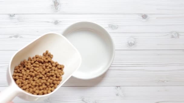 Pour Cat Food Bowl Top View Pet Food Dry Pet — Stock Video