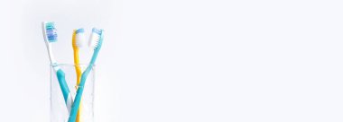 Beyaz arka planda cam bir şişedeki diş fırçaları. Ağız temizliği. Diş temizliği, bakımı önleme. Pankart