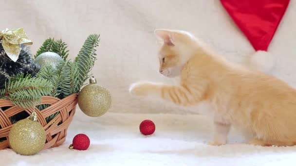 Ένα Μικρό Γατάκι Παίζει Μια Χριστουγεννιάτικη Μπάλα Ένα Καλάθι Την — Αρχείο Βίντεο