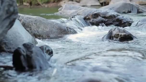 Górska Rzeka Przepływająca Przez Kamienne Głazy Rzeka Czystym Strumieniem Zbliżenie — Wideo stockowe