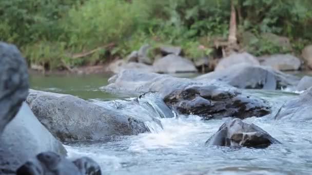 Górska Rzeka Przepływająca Przez Kamienne Głazy Rzeka Czystym Strumieniem Zbliżenie — Wideo stockowe