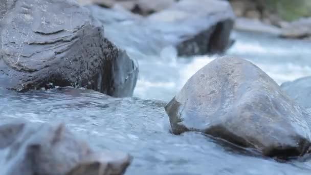 Río Montaña Que Fluye Través Rocas Piedra Río Con Arroyo — Vídeos de Stock