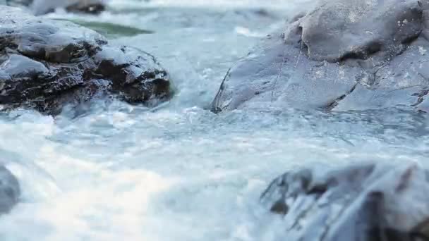 Gebirgsfluss Fließt Durch Felsbrocken Fluss Mit Klarem Strom Nahaufnahme Abend — Stockvideo