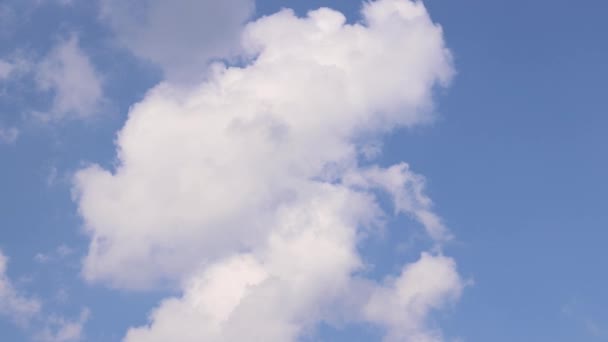 Fehér Felhők Kék Égen Sima Mozgás Természetes Háttér Bolyhos Felhők — Stock videók