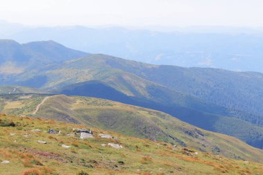 Dağ manzarası, Karpat dağlarının tepeleri, Ukrayna. Turizm konsepti. Ormanlık alan, yazın doğa. Tonsal perspektif
