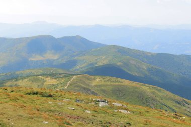 Dağ manzarası, Karpat dağlarının tepeleri, Ukrayna. Turizm konsepti. Ormanlık alan, yazın doğa. Tonsal perspektif