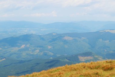 Dağ manzarası, Karpat dağlarının tepeleri, Ukrayna. Turizm konsepti. Ormanlık alan, yazın doğa. Tonsal perspektif