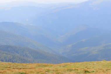 Dağ manzarası, Karpat dağlarının tepeleri, Ukrayna. Turizm konsepti. Ormanlık alan, yazın doğa.