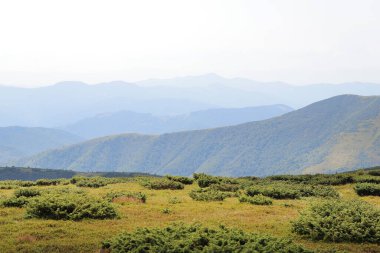 Tonsal perspektifli güzel bir dağ manzarası. Ukrayna 'nın Karpat Dağları. Turizm ve spor eğlencesi kavramı. Doğa